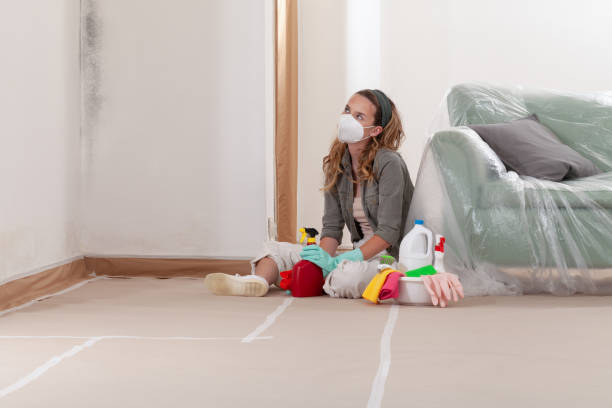 Reliable Mold Remediation contractor in Commerce City, CO by WQB Mold Removal
